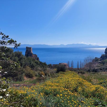 Piccola Baia Villa สโกเปลโล ภายนอก รูปภาพ