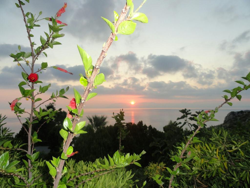 Piccola Baia Villa สโกเปลโล ภายนอก รูปภาพ